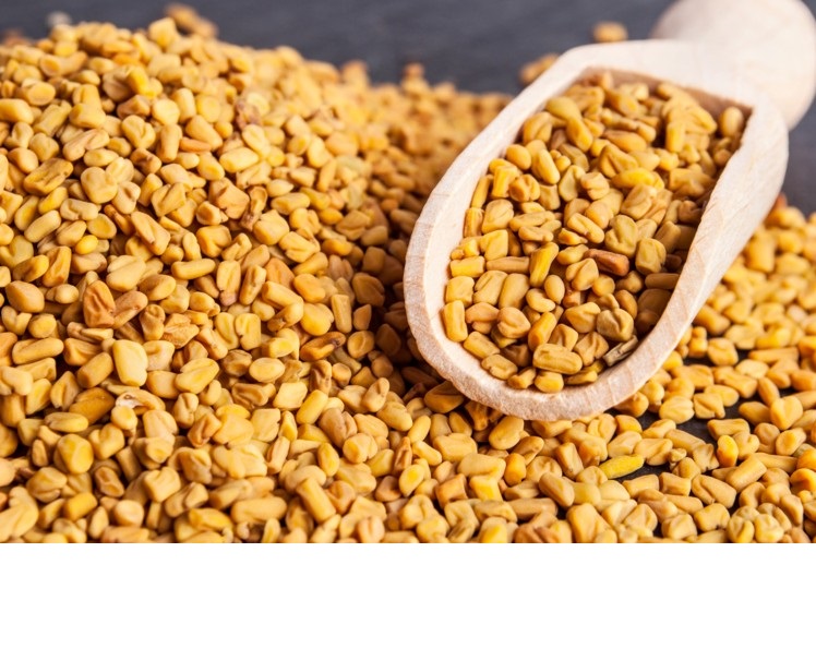 Fenugreek Extract