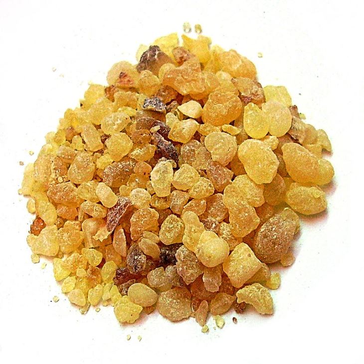 Boswellia Serrata Extract