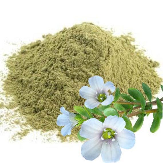 Brahmi/Bacopa Extract