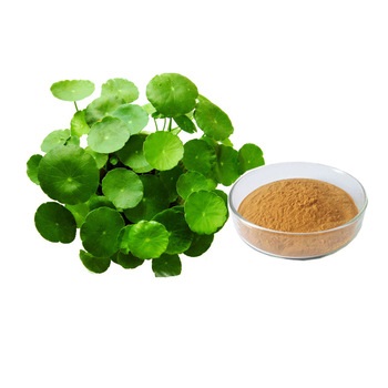 Centella Asiatica Extract