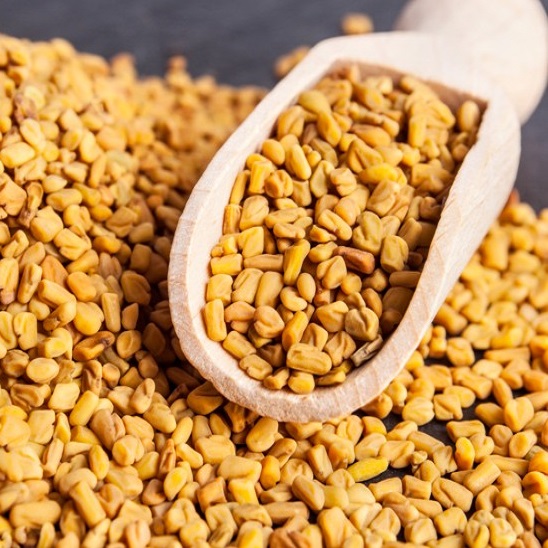 Fenugreek Extract