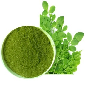 Moringa Extract